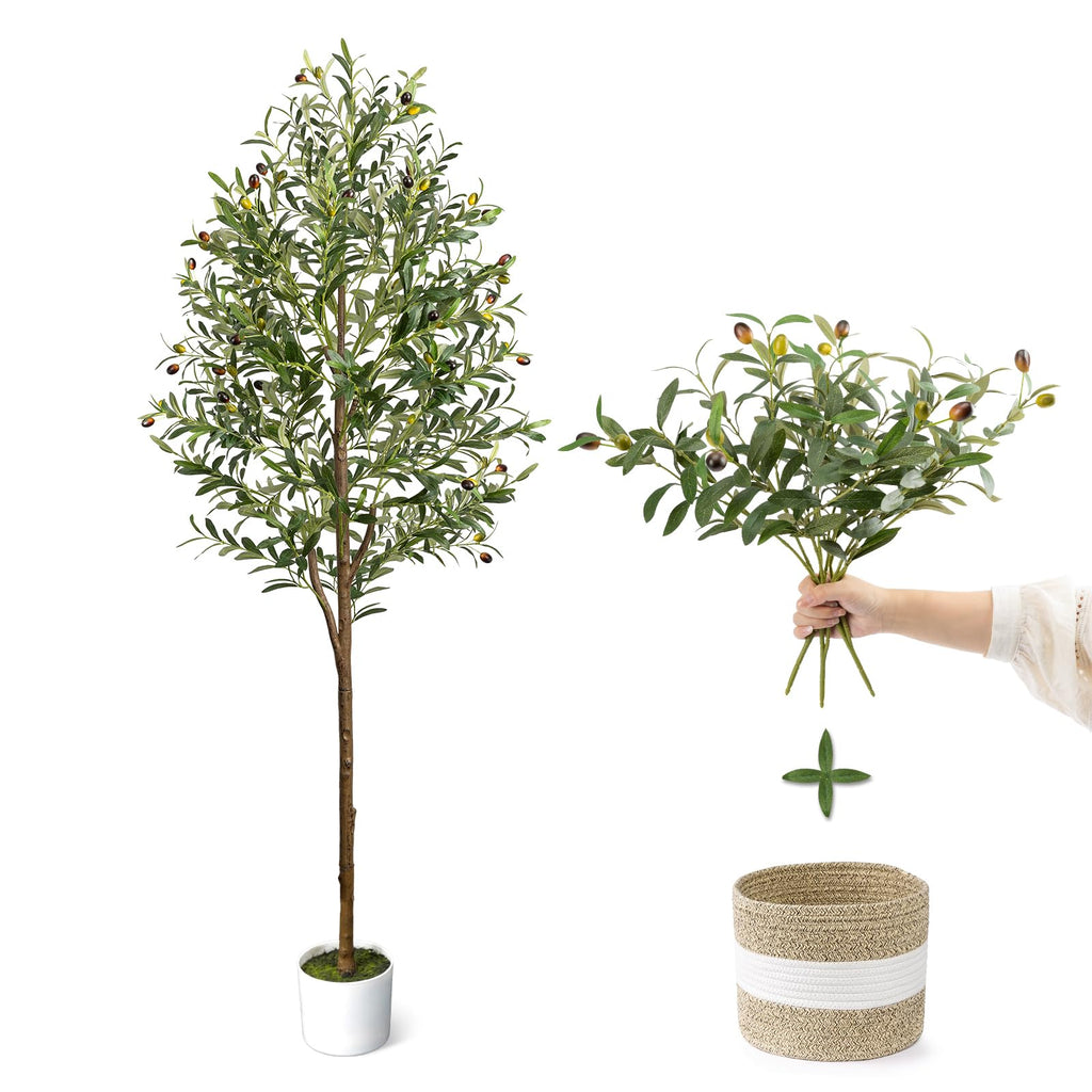 6FT Artificial Olive Tree - Indoor Tall Faux Olive Trees with Planter&Basket, Large Fake Olive Silk Tree Realistic Olive Plants with Branches and Fruits for Home Decor Office Living Room