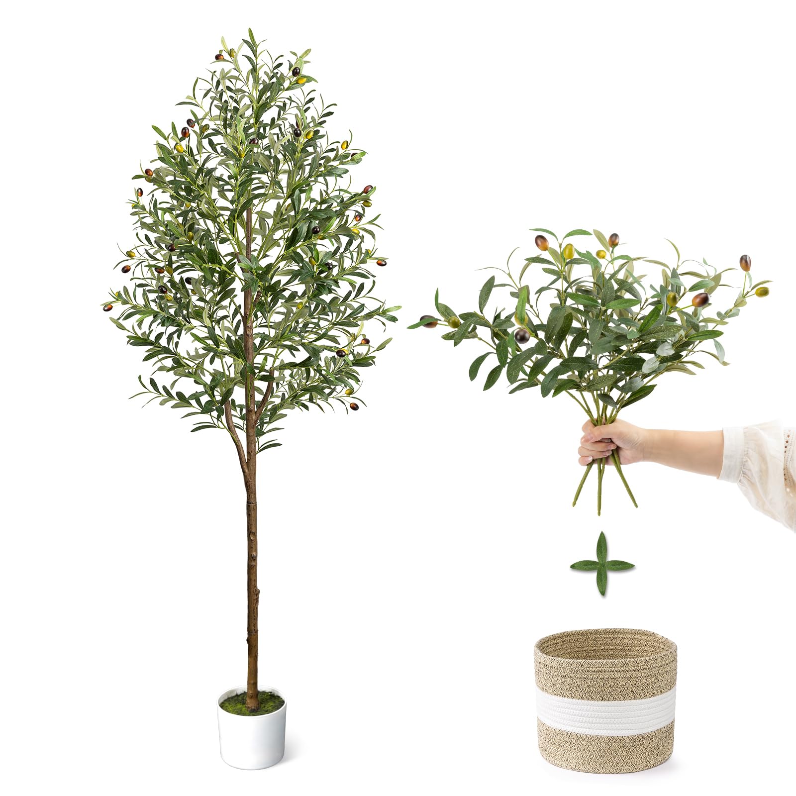 6FT Artificial Olive Tree - Indoor Tall Faux Olive Trees with Planter&Basket, Large Fake Olive Silk Tree Realistic Olive Plants with Branches and Fruits for Home Decor Office Living Room