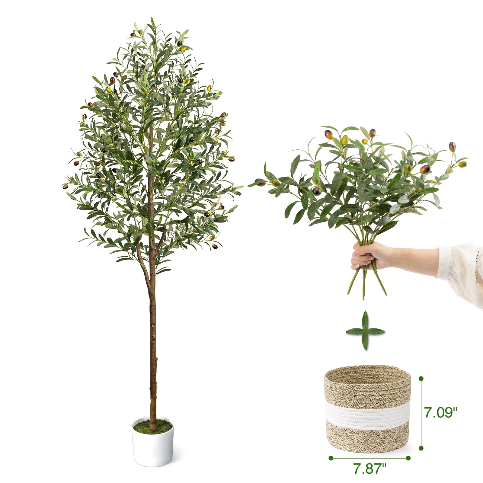 6FT Artificial Olive Tree - Indoor Tall Faux Olive Trees with Planter&Basket, Large Fake Olive Silk Tree Realistic Olive Plants with Branches and Fruits for Home Decor Office Living Room