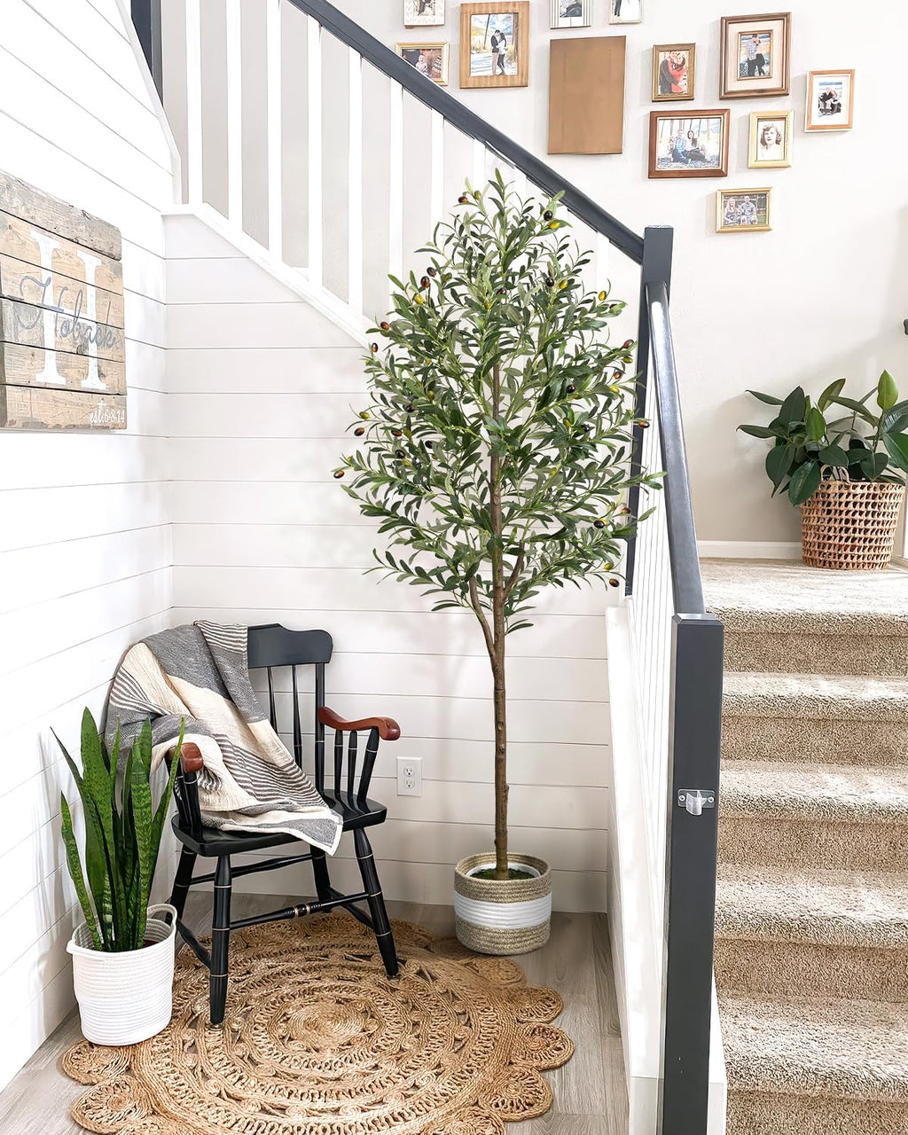 6FT Artificial Olive Tree - Indoor Tall Faux Olive Trees with Planter&Basket, Large Fake Olive Silk Tree Realistic Olive Plants with Branches and Fruits for Home Decor Office Living Room