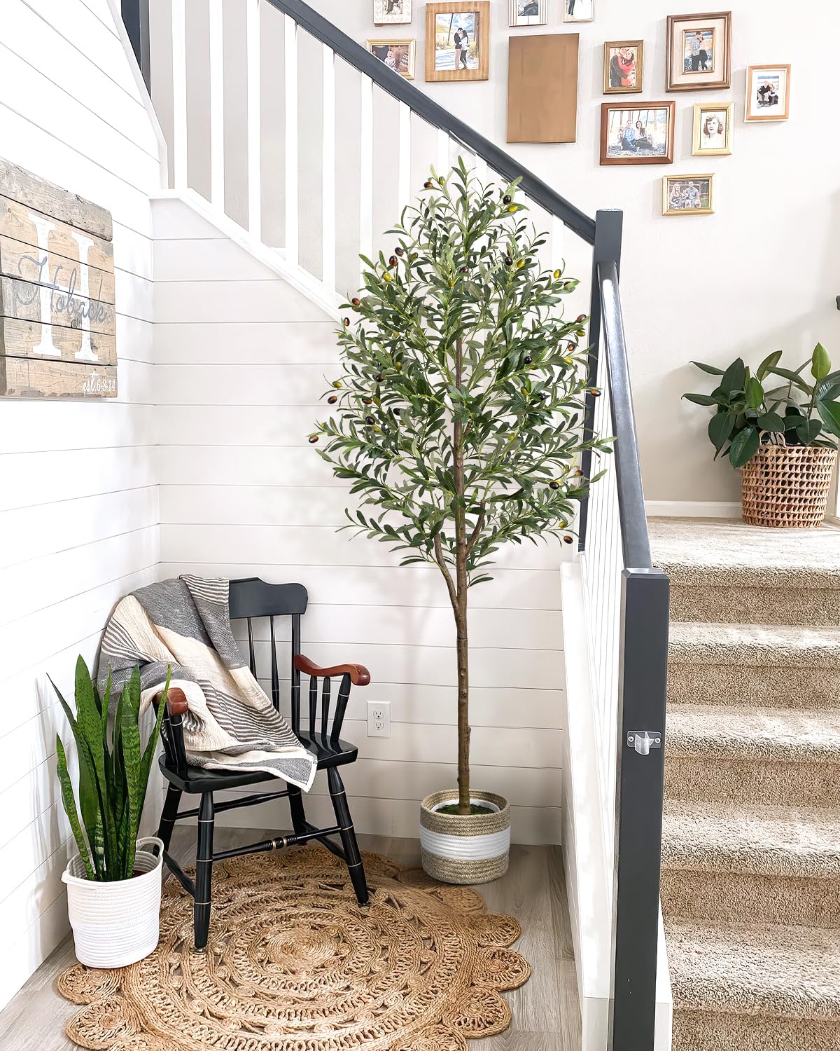 6FT Artificial Olive Tree - Indoor Tall Faux Olive Trees with Planter&Basket, Large Fake Olive Silk Tree Realistic Olive Plants with Branches and Fruits for Home Decor Office Living Room